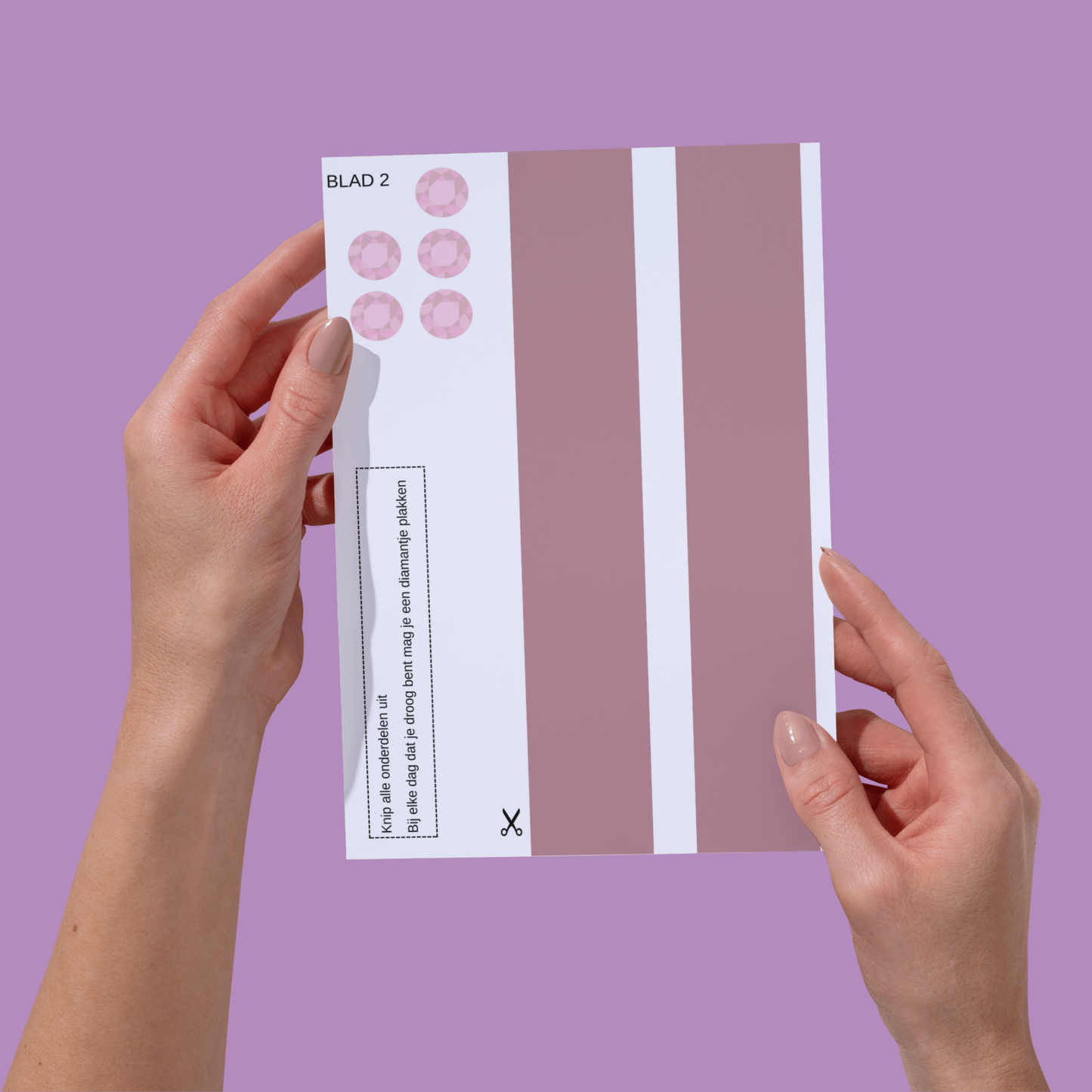 Zindelijkheidstraining| Pakket Prinses | Printen