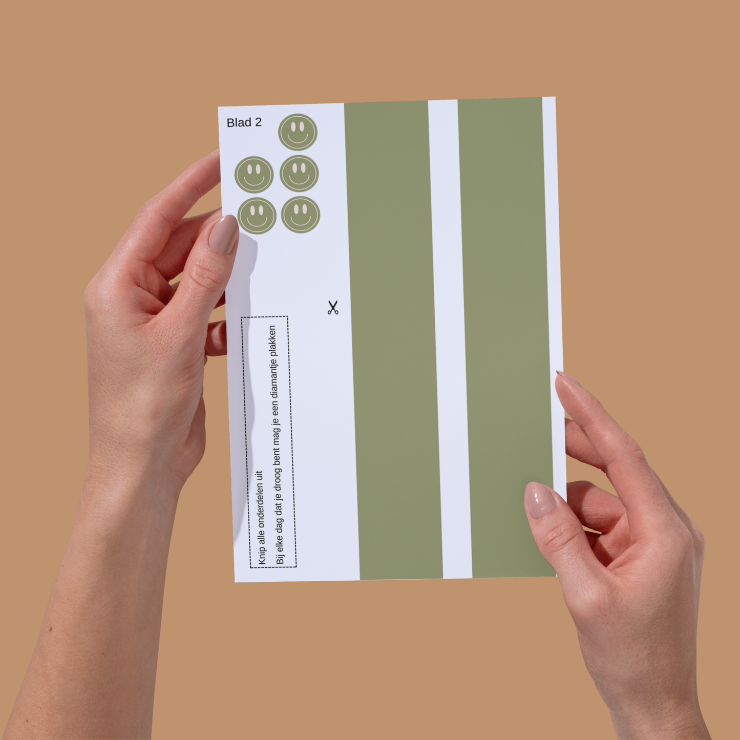 Zindelijkheidstraining | Pakket Smiley | Printen